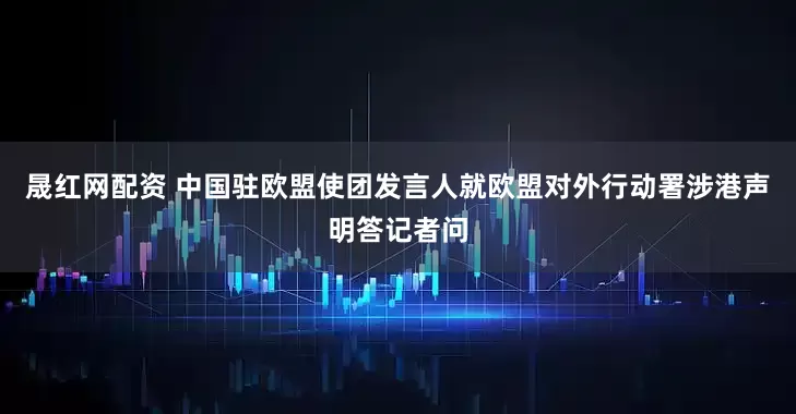 晟红网配资 中国驻欧盟使团发言人就欧盟对外行动署涉港声明答记者问