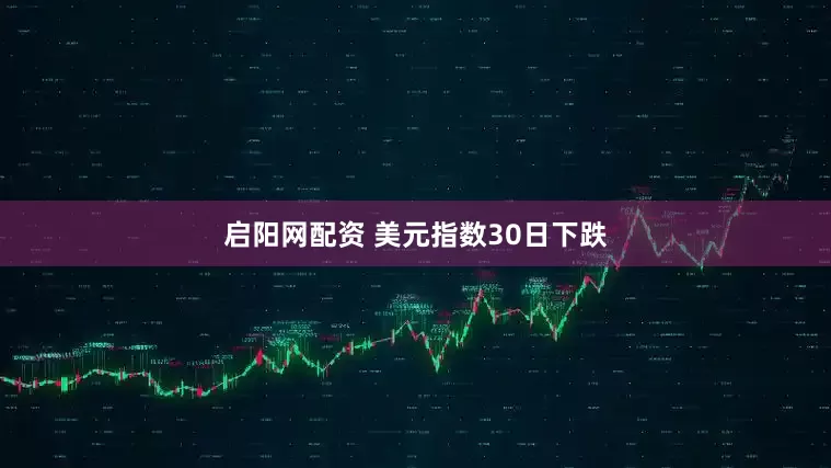 启阳网配资 美元指数30日下跌