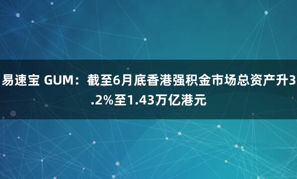 易速宝 GUM：截至6月底香港强积金市场总资产升3.2%至1.43万亿港元